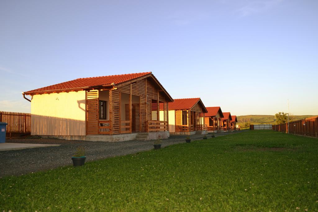 Villa Casute De Vacanta - Complex Ben à Ocna Sibiului Extérieur photo